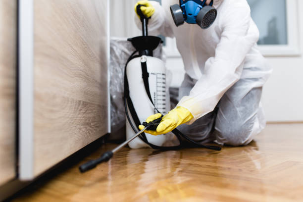 Trusted Atkins, VA Pest Control Experts