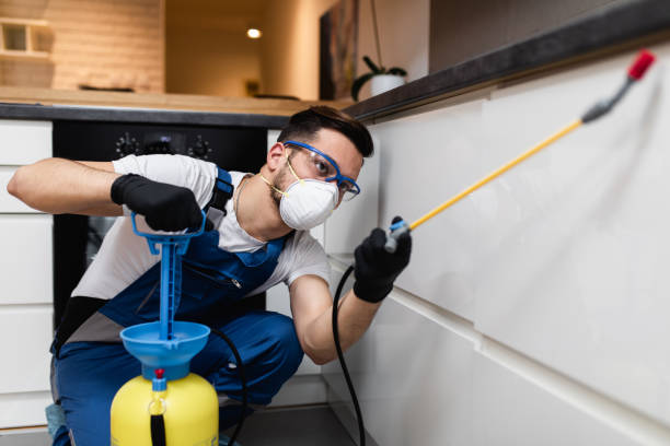 Best Exterminator Services  in Atkins, VA