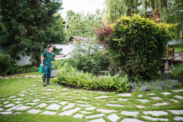 Best Best Pest Control Companies  in Atkins, VA