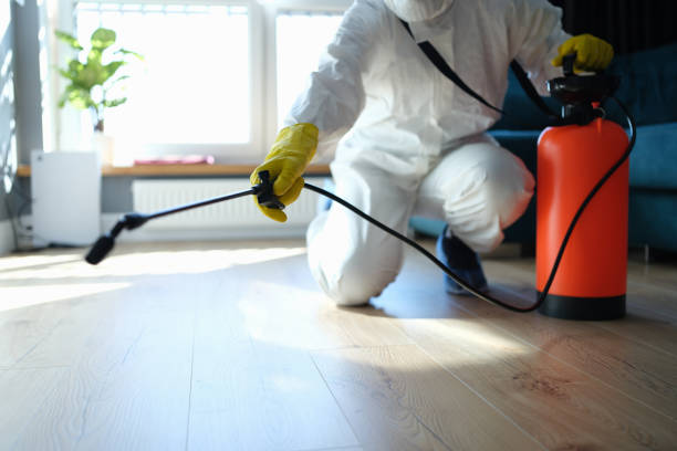 Best Flea Control Services  in Atkins, VA