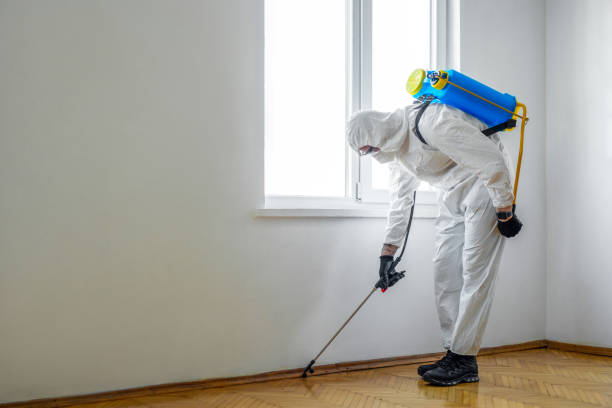 Best Affordable Pest Control Services  in Atkins, VA