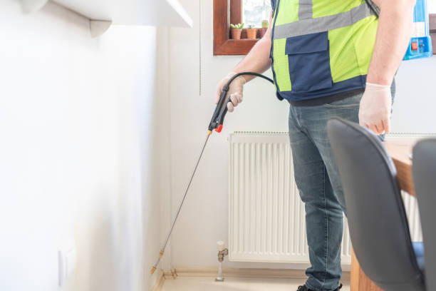 Best Termite Control Services  in Atkins, VA